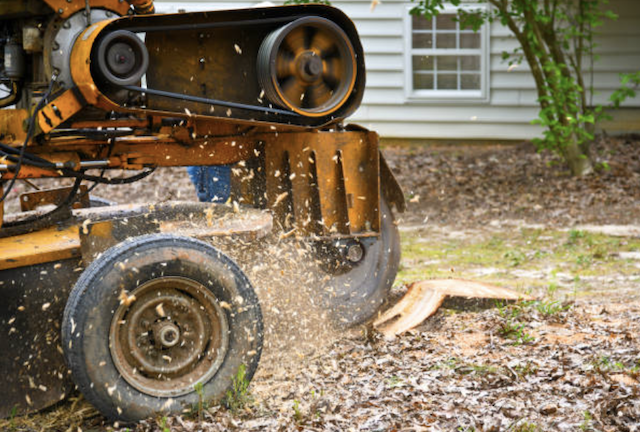 stump grinding montgomery md